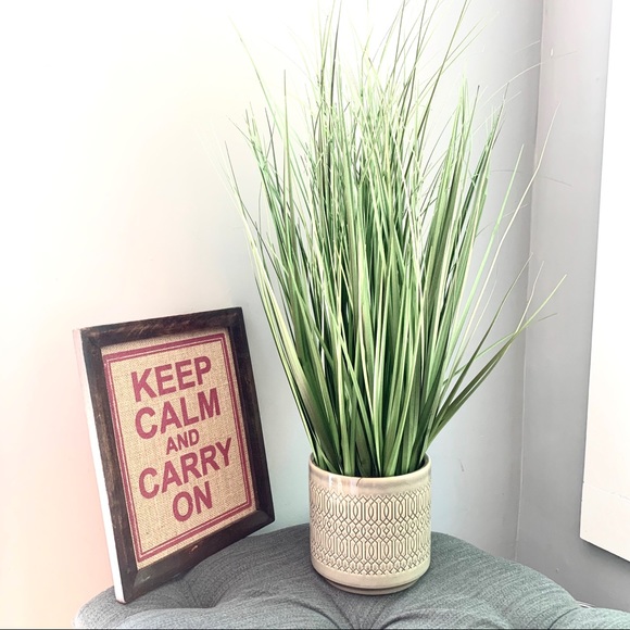 NWT elegant tall grass plant in ceramic pot - Picture 2 of 4